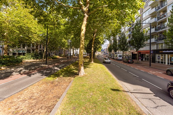 Johan de Wittstraat 266-44.jpg